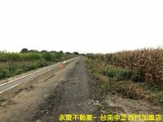 @誠意出售@鹽水坔頭港段地形方正臨路農地照片